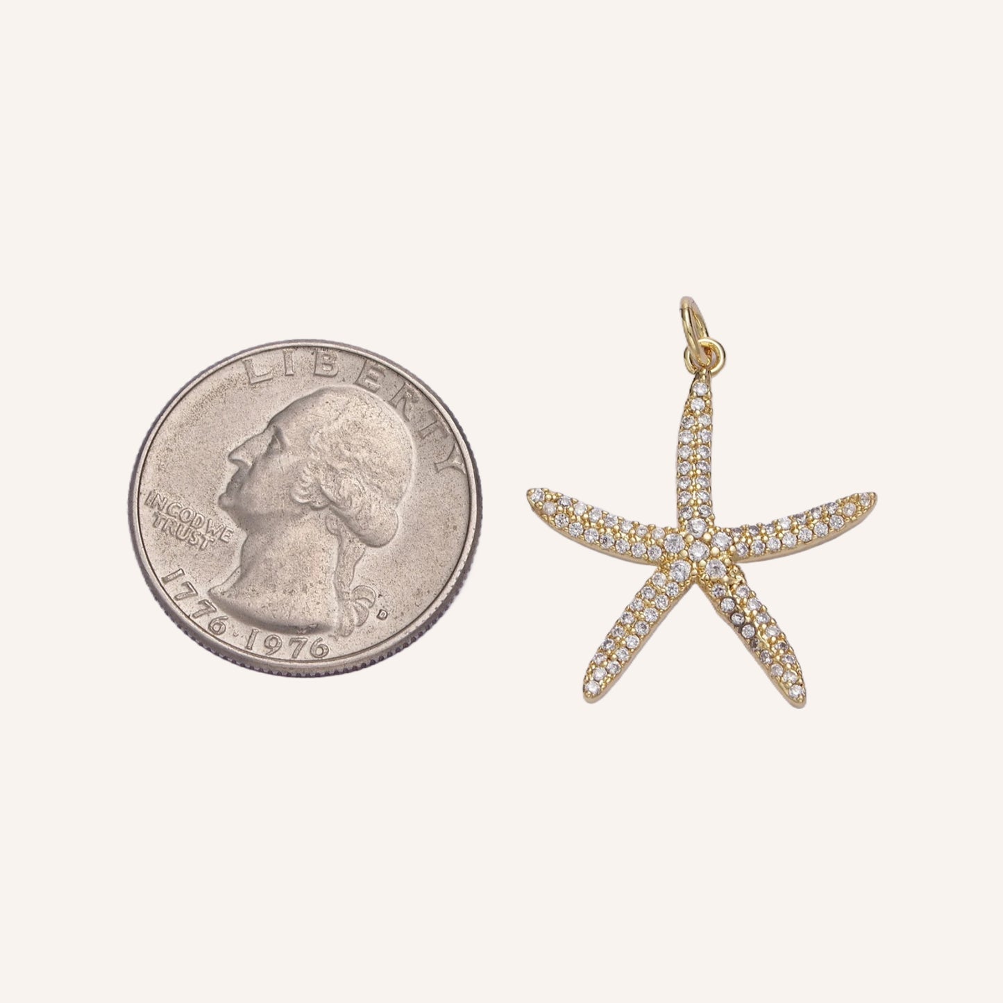 Large Thin Starfish