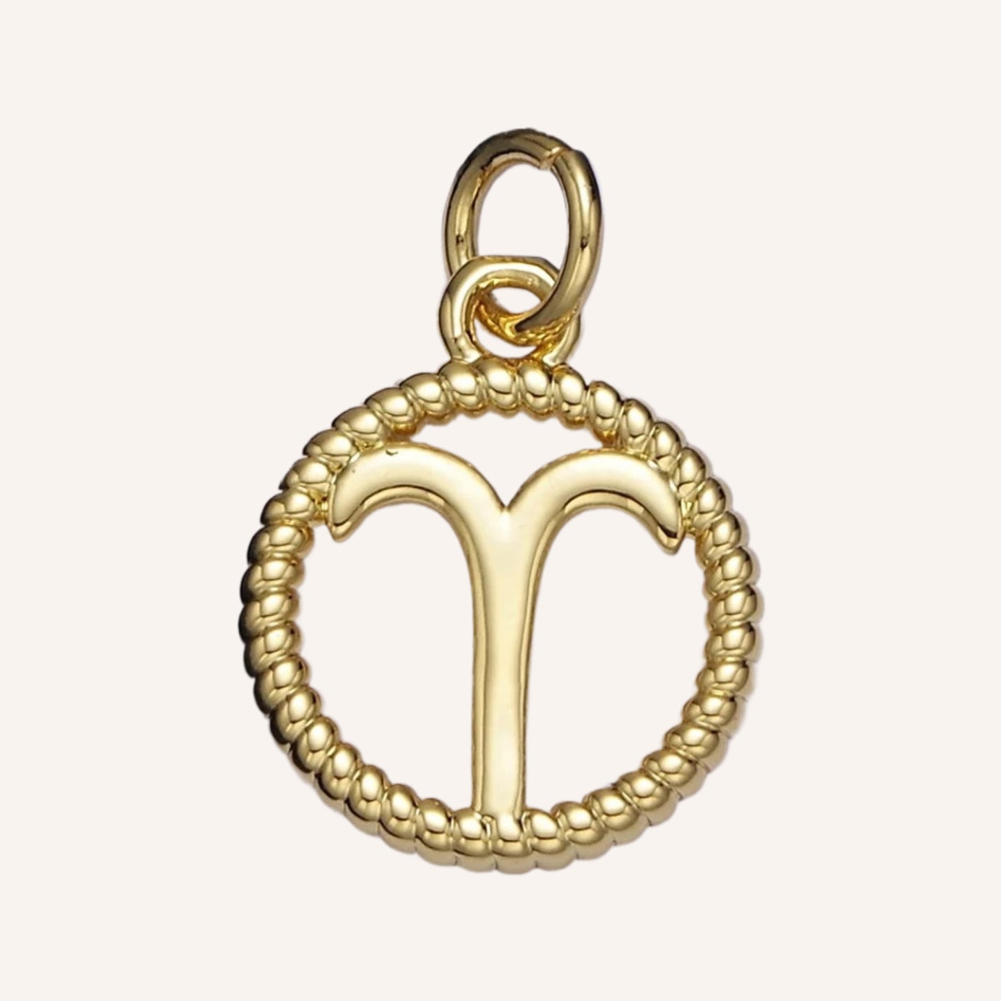 Zodiac Charm