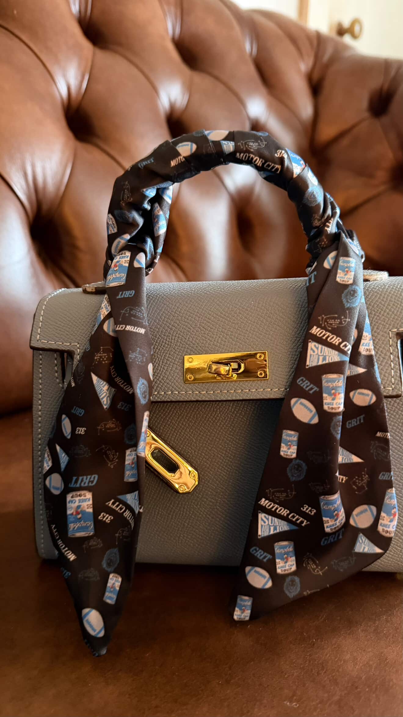 Bag Scarf - Detroit Football