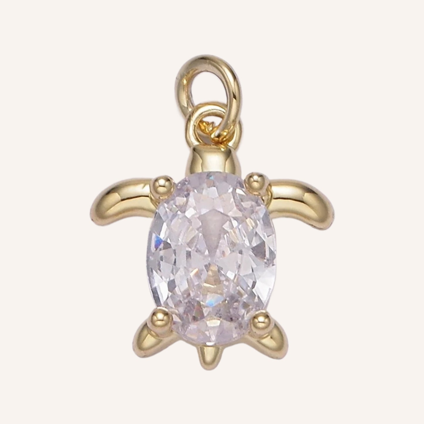 Clear Turtle