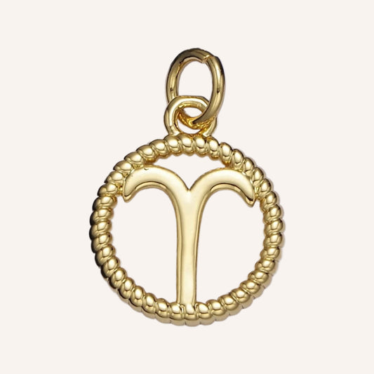 Zodiac Charm